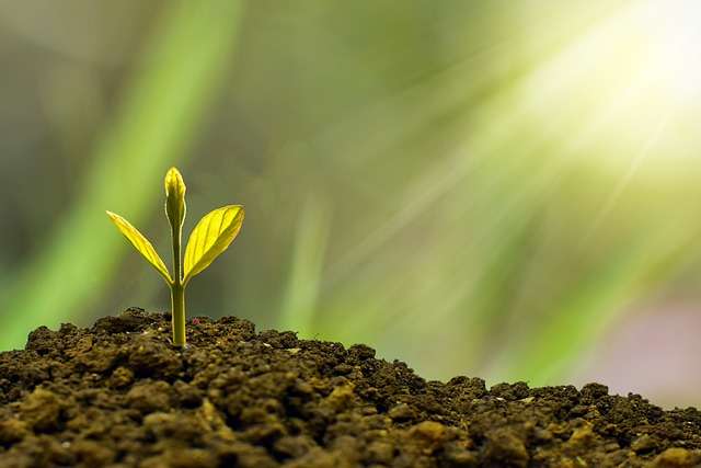 A Poem About Growth. (Poetry Wednesday)